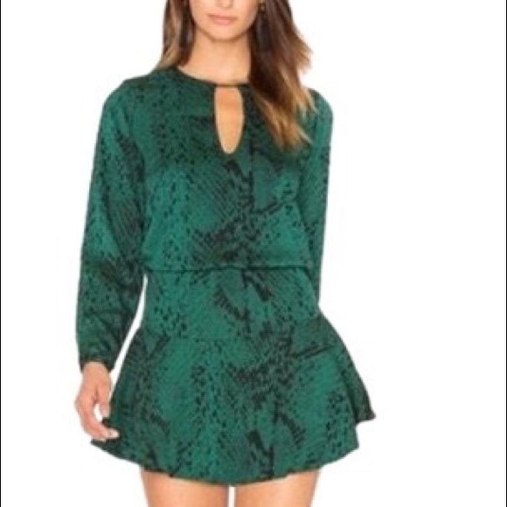 Karina Grimaldi snake print dress